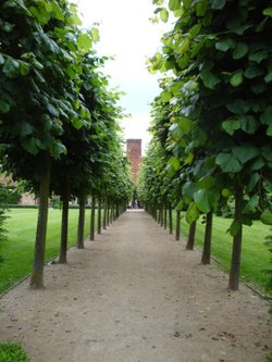 Coughton Court June 2008