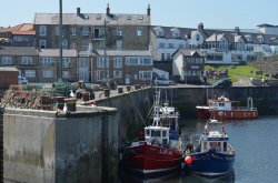 Seahouses Wallpaper