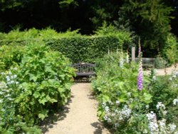 Painswick Rococo Garden June 2008