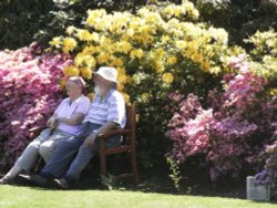 Relaxing, at Stody lodge Wallpaper