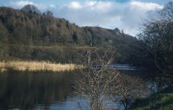 Autumn at Bishops Ponds, Abergwili in 1972 Wallpaper