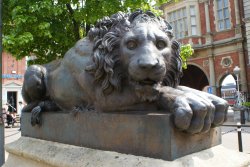 One of our lions.