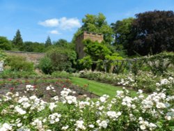 Polesden Lacy June 2011 Wallpaper