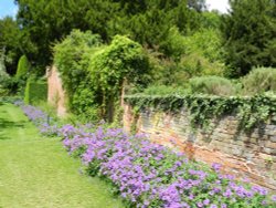 Upton House and Garden June 2011