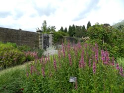 Wakehurst Place 24 June 2011 Wallpaper