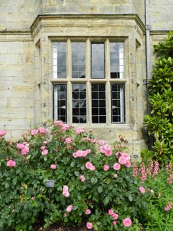 Wakehurst Place 24 June 2011