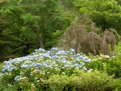 Wakehurst Place 24 June 2011 Wallpaper