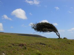 Seven Sisters Country Park Wallpaper