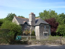 Trelissick Gardens June 2009 Wallpaper