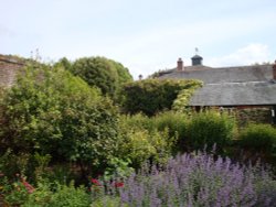 Trelissick Gardens June 2009 Wallpaper