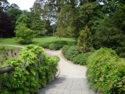 Trelissick Gardens June 2009 Wallpaper