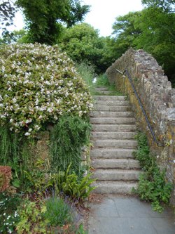 Trerice, June 2009