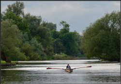 Regatta Practise, Hemingford Grey. Wallpaper