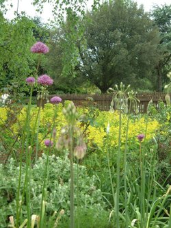 Beth Chatto Gardens, May 2001