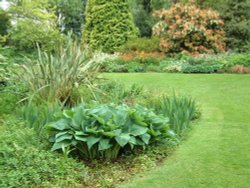 Beth Chatto Gardens, May 2001 Wallpaper