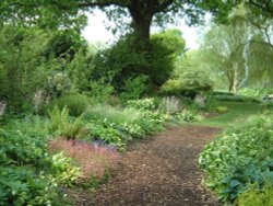 Beth Chatto Gardens, May 2001 Wallpaper