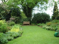 Beth Chatto Gardens, May 2001 Wallpaper