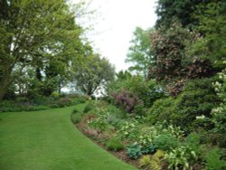 Beth Chatto Gardens, May 2001 Wallpaper