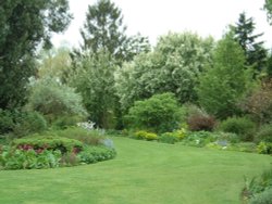 Beth Chatto Gardens, May 2001 Wallpaper