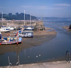 The Harbour at Saundersfoot