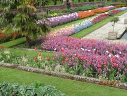 Kensington Palace Gardens Wallpaper