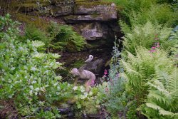 The Dell, Sandringham House Wallpaper