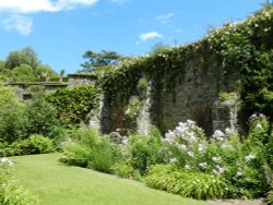 Bodnant Garden, June 2011 Wallpaper