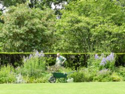 Bodnant Garden, June 2011 Wallpaper