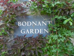 Bodnant Garden, June 2011