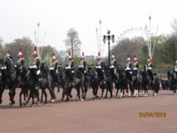 Changing the Guard, Buckingham Palace Wallpaper
