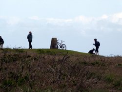 Quantock Hills Wallpaper