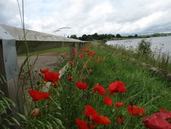 Pitsford