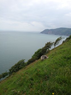 Lynton and Lynmouth, June 2009