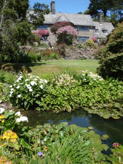 Coleton Fishacre, June 2009