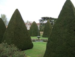 Athelhampton House Wallpaper