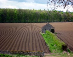 High Coniscliffe, County Durham Wallpaper