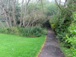 Lade Braes Walk Wallpaper