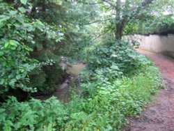 Cairnsmill Burn Wallpaper