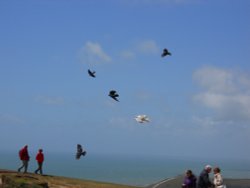 Beachy Head, Eastbourne Wallpaper