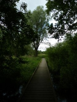 Warnham Walkway