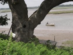 View at Iken Wallpaper