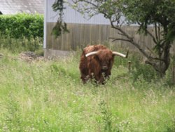 Behind the Church at Iken Wallpaper