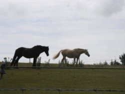 River walk Iken to Snape Wallpaper