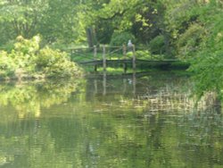 Footbridge at Thorp Perrow Arboretum Wallpaper