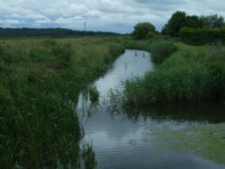 Heacham River
