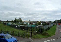 Boreland Allotments Wallpaper