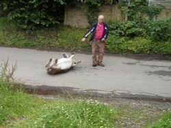 Itchy Back !! oh oh Itchy Back !! Wallpaper