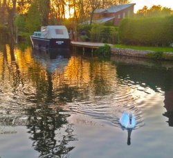 Newbury, Berkshire Wallpaper