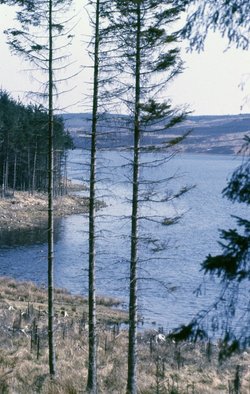 Kielder Water, Northumberland