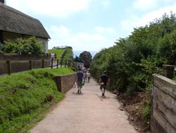 Ladram Bay Wallpaper